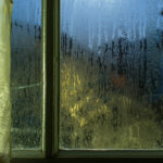 Kondenswasserabsorber für Fenster: Eine praktische Lösung