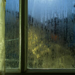 Moonlight through the window