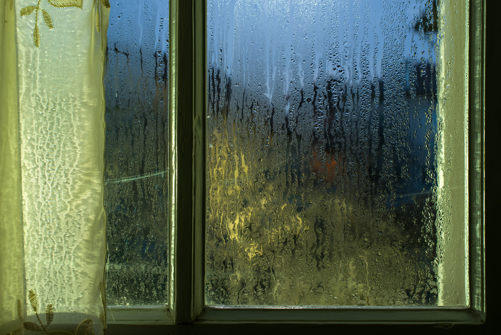 Kondenswasserabsorber für Fenster: Eine praktische Lösung - Effiziente  Energiesysteme