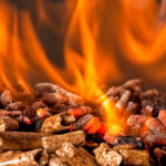 wood pellet